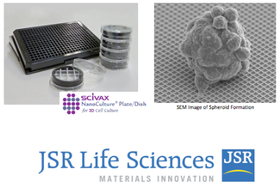 JSR Group and SCIVAX Life Sciences Partner for Three-dimensional (3D) Cell Culture Business
